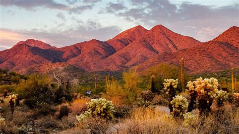 scottsdale tripadvisor|things to do around scottsdale arizona.